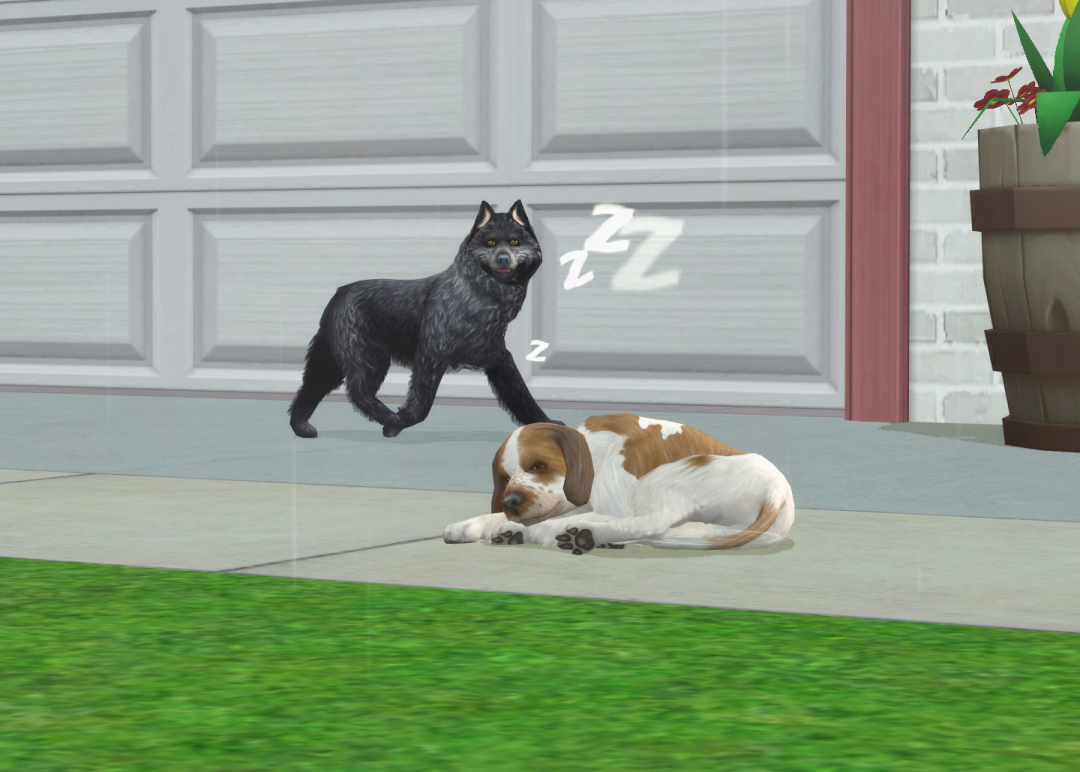 Sims2-EP9-RPC-2023-10-10-20-33-29-26