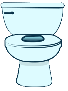 Grown Up Potty Flush