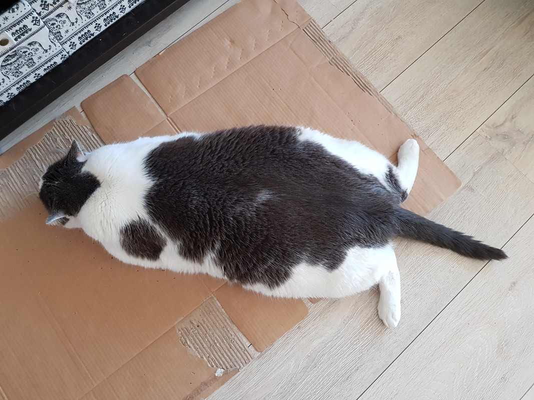 20190624-113126.jpg