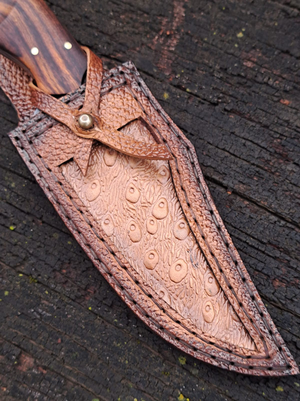 WhatsApp Image 2023-09-25 at 11.18.35 (1)