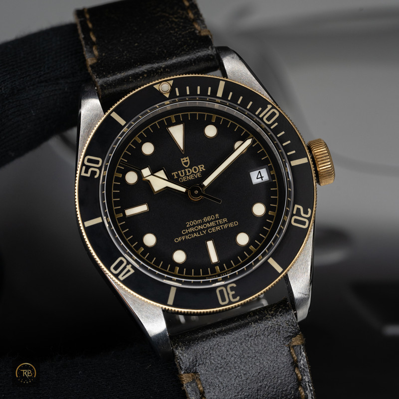 Tudor Black Bay S&G