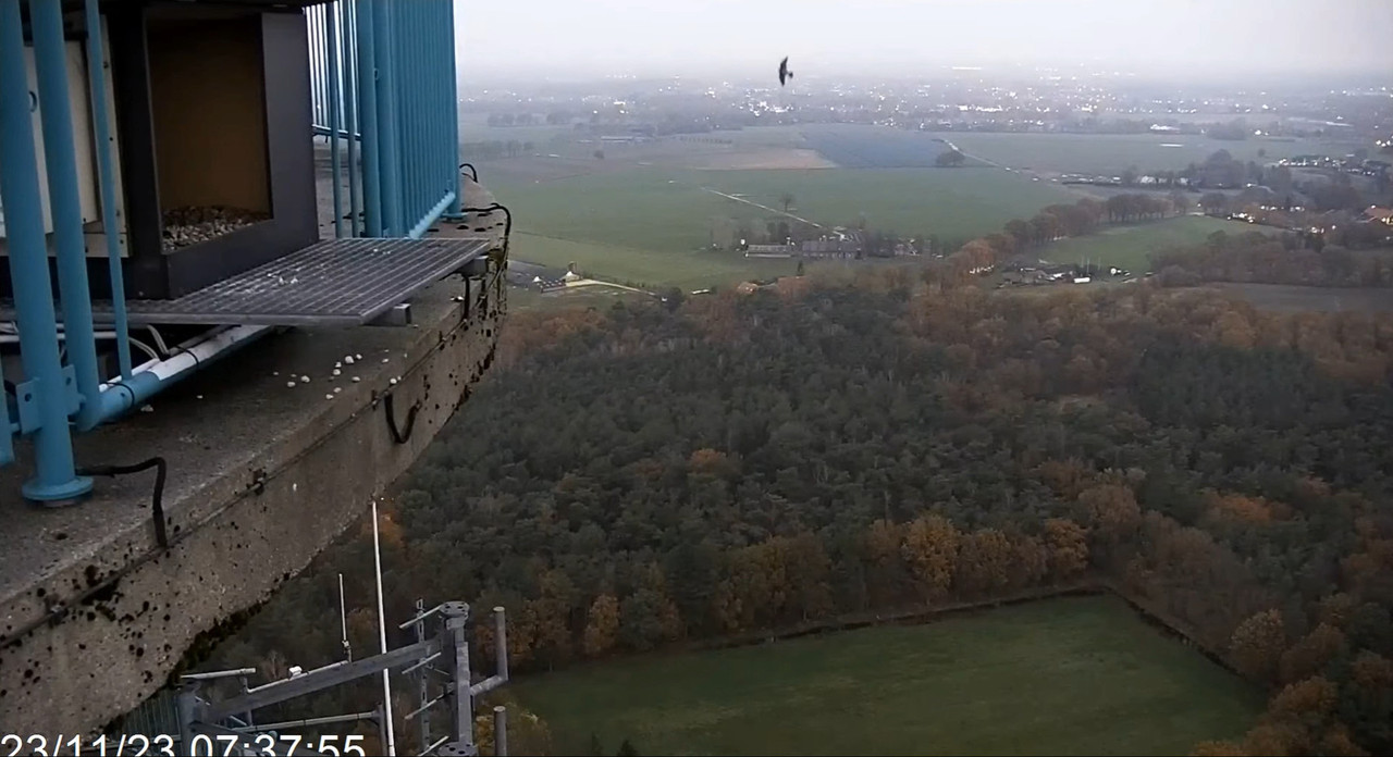 screenshots va 2 november 2023 © VWGGemert - Pagina 5 2023-11-23-074751