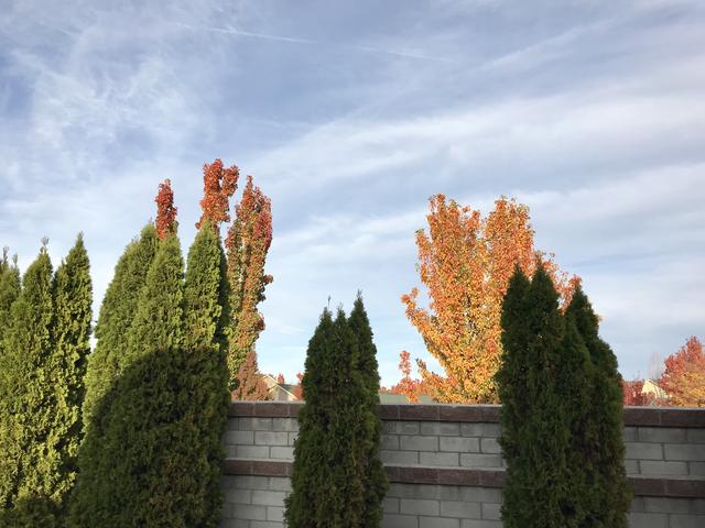 [Image: 2-A305576-1416-4936-BDFC-862-A8-BFD2589.jpg]