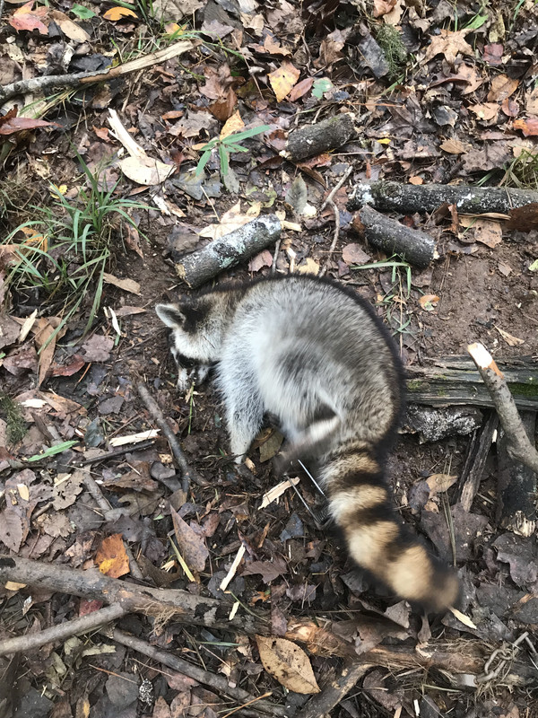 7C2959F6-DBD4-4494-9D62-919DB9A006D0