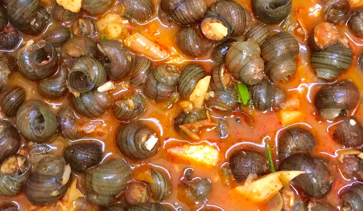 Snail Curry: Salah Satu Makanan Ekstrem Khas dari Wilayah India Timur