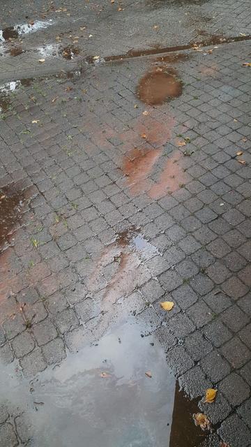 FBCE142C-330E-4CD9-A44A-C352E150018F