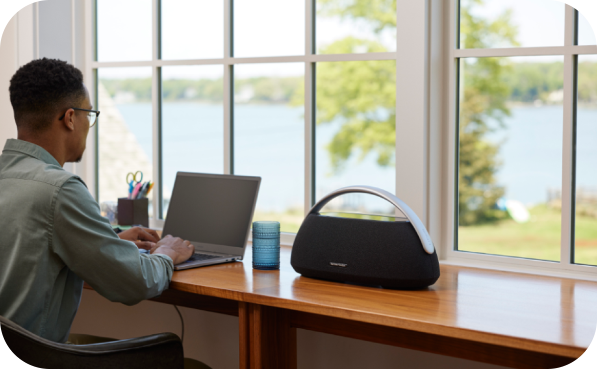 Harman Kardon Go Play 3 Sound