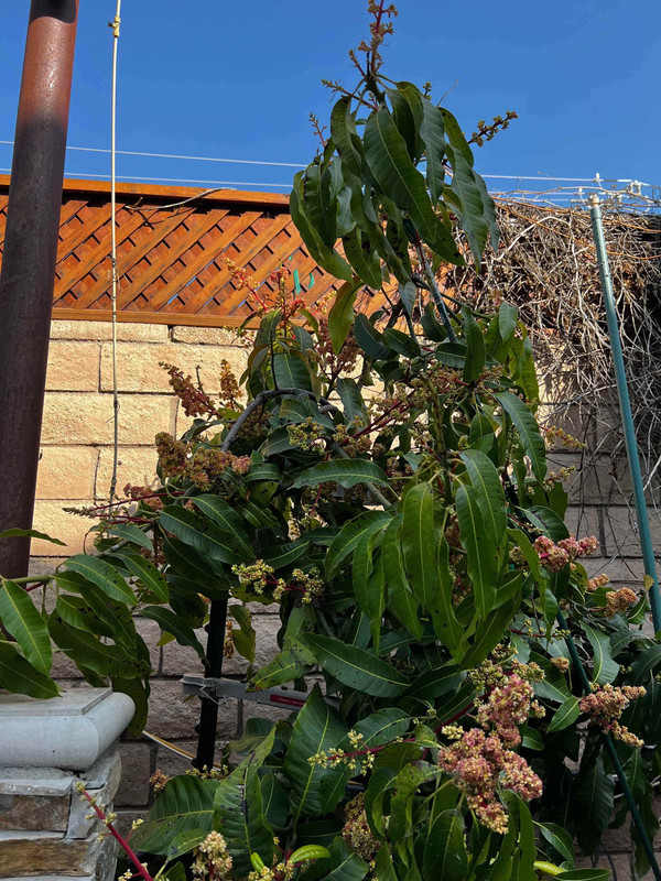 8A6DEB08-BF9B-44D6-8059-6B160F54CBCCremote8dc02a946e1ae6bc1c1c1444716fcdfc04d6eb47-1-original