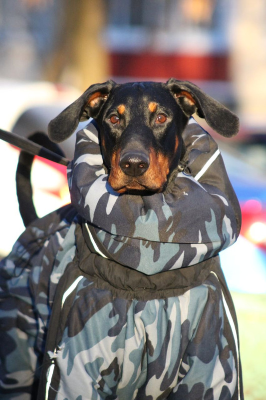 2E734A1C-E245-412D-B4A5-A0CB006ABC17