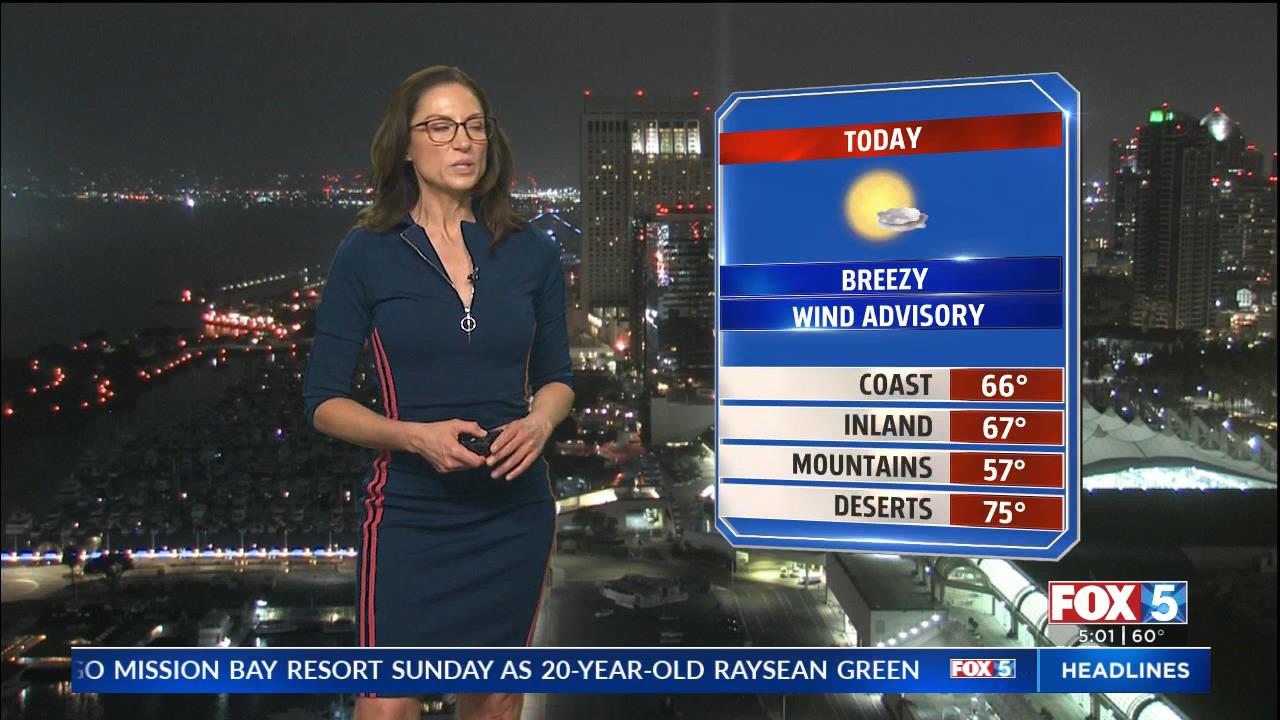 05.21 - 13.00.00 - FOX 5 Morning News at 5 00am  ᴺᵉʷ. Local news, wea....ts_snapshot_02.46_[2021.05.