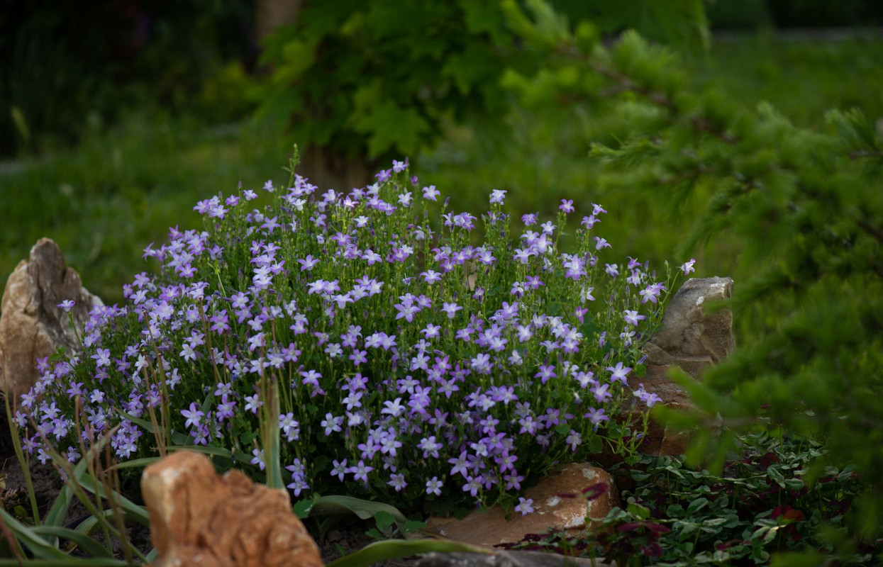 IMG-1c7cd51d2f7dcb8c9474c9f4df7e1a69-V
