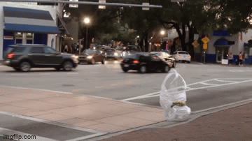 ���� ���� ������ �� ���� ������