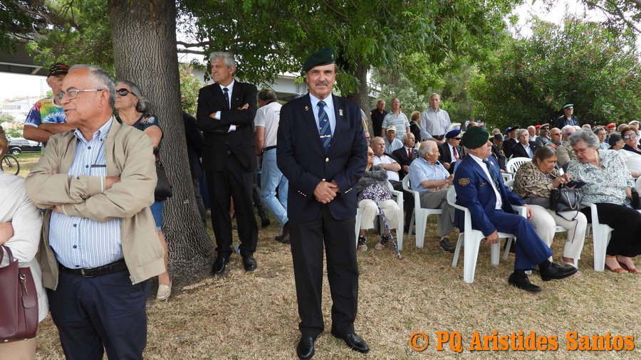 505426577-2426576104391233-1996079491812453279-n