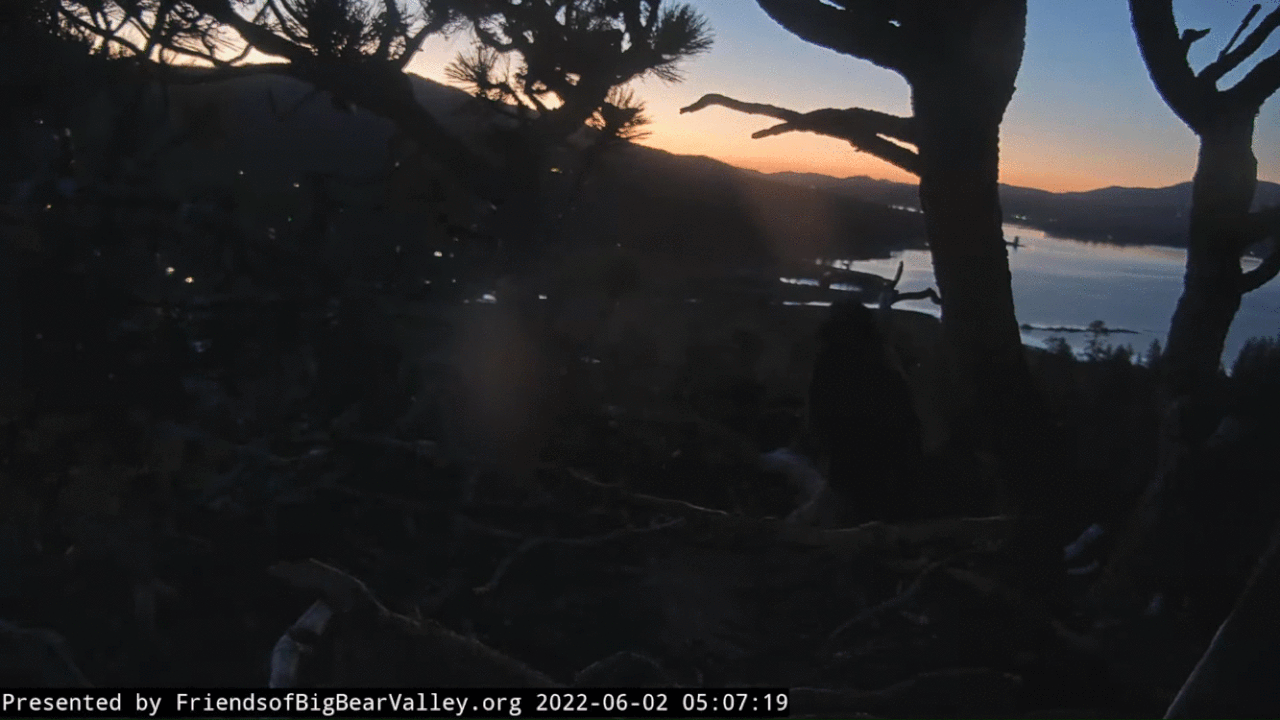 Webp.net-gifmaker (1)