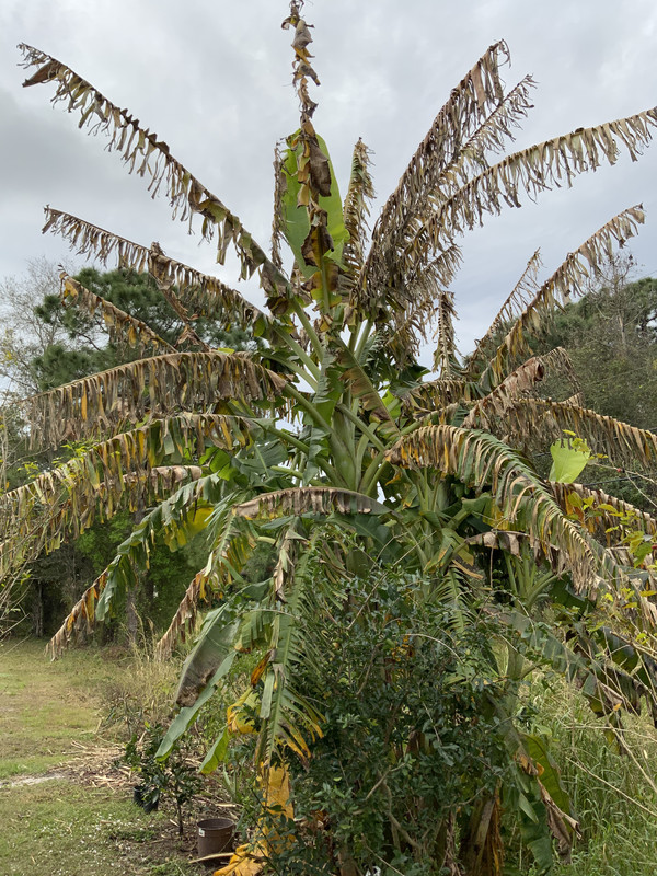 0A82F58D-4C8F-496E-80B0-E4CA51D9538C