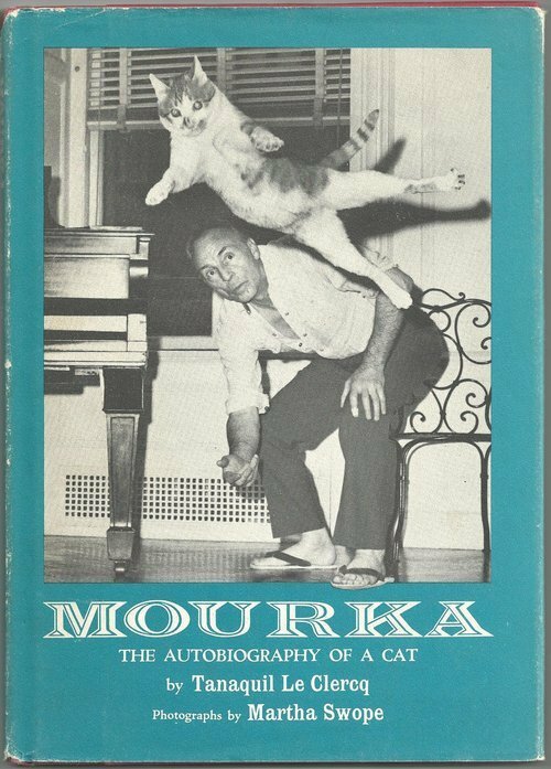 tumblr-inline-n3srbbw-AHG1qepvsa