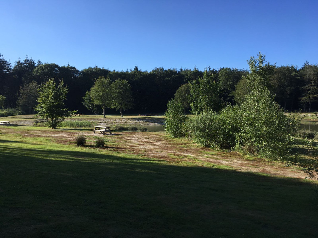 A25D49AE-71E5-4E44-9037-F2246F3AFE89