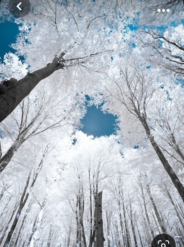 Screenshot_20231024_133134_Pinterest