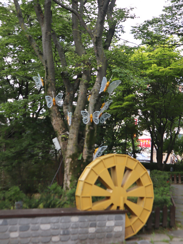 IMG-3209