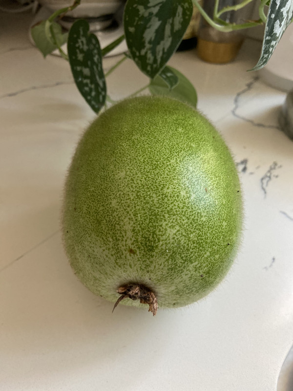 DB25FCE4-FC6C-4546-B850-58B6FBC21DA0