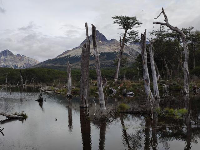 USHUAIA. TREKING LAGUNA ESMERALDA - ARGENTINA INFINITA II/ TORRES DEL PAINE (5)