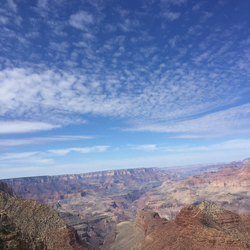 IMG-1810.jpg