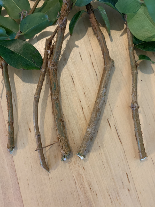 11F0A108-D10D-41D7-9C86-7D828F04DF38