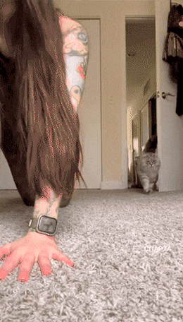 031.gif