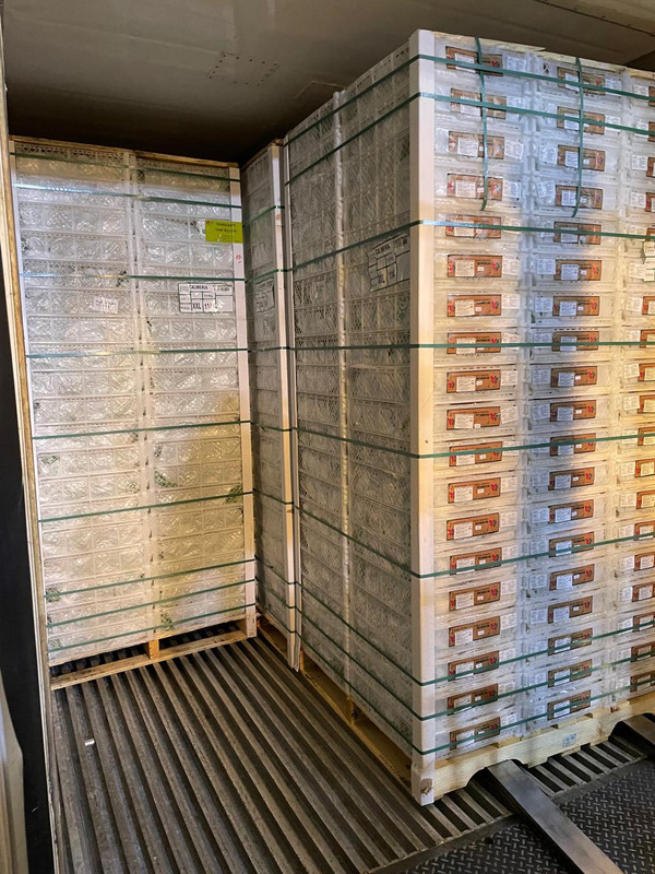 Consolidación contenedores 3