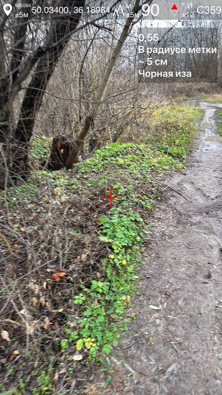 photo 93 2025 11 12 17 24 59