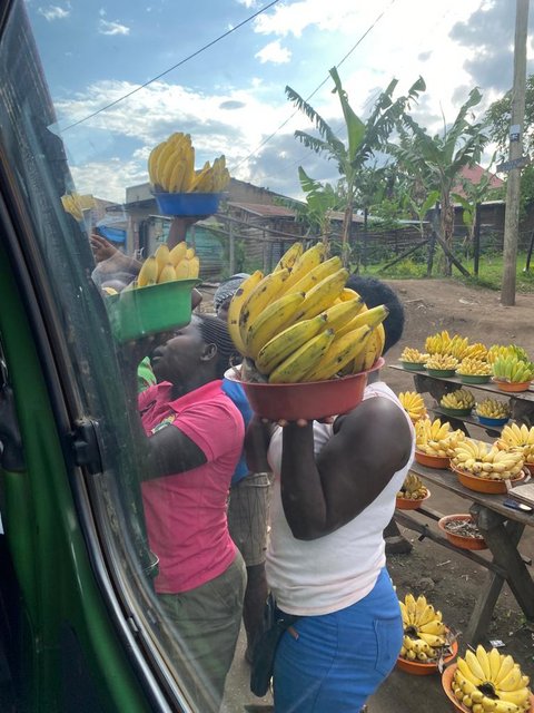 18 días por las tierras más remotas de Uganda y Kenya - Blogs de Africa Este y Centro - Granada - Bwindi (5)