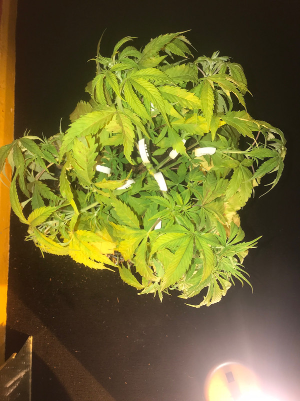 155097F8-7263-47B9-8F8A-F1F204D4619B