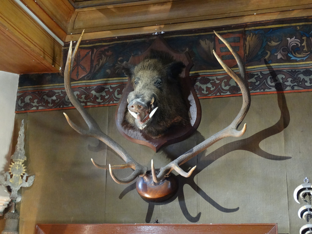 07.07 - DSC08619 (Czesio1)