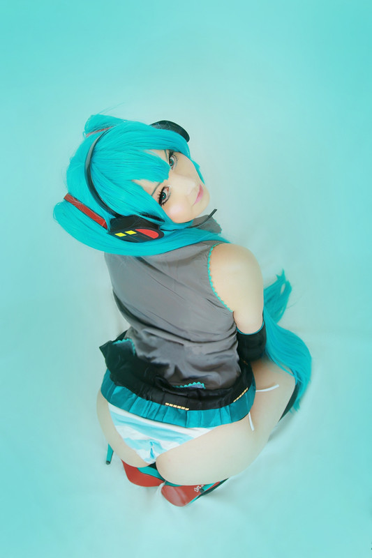 Hatsune Miku (23)