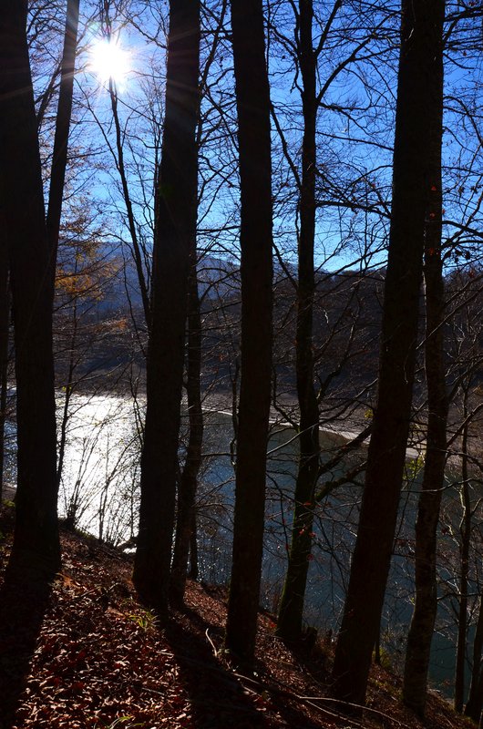 SELVA DE IRATI-14-11-2015-NAVARRA - Paseando por España-1991/2024 (63)