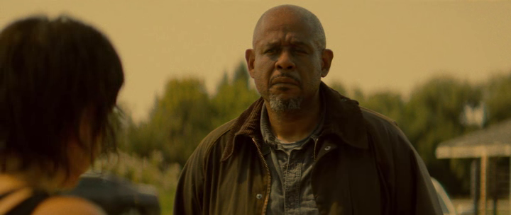 vlcsnap-2018-07-16-10h12m24s050