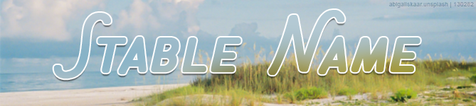Beach-Pony-Banner.png
