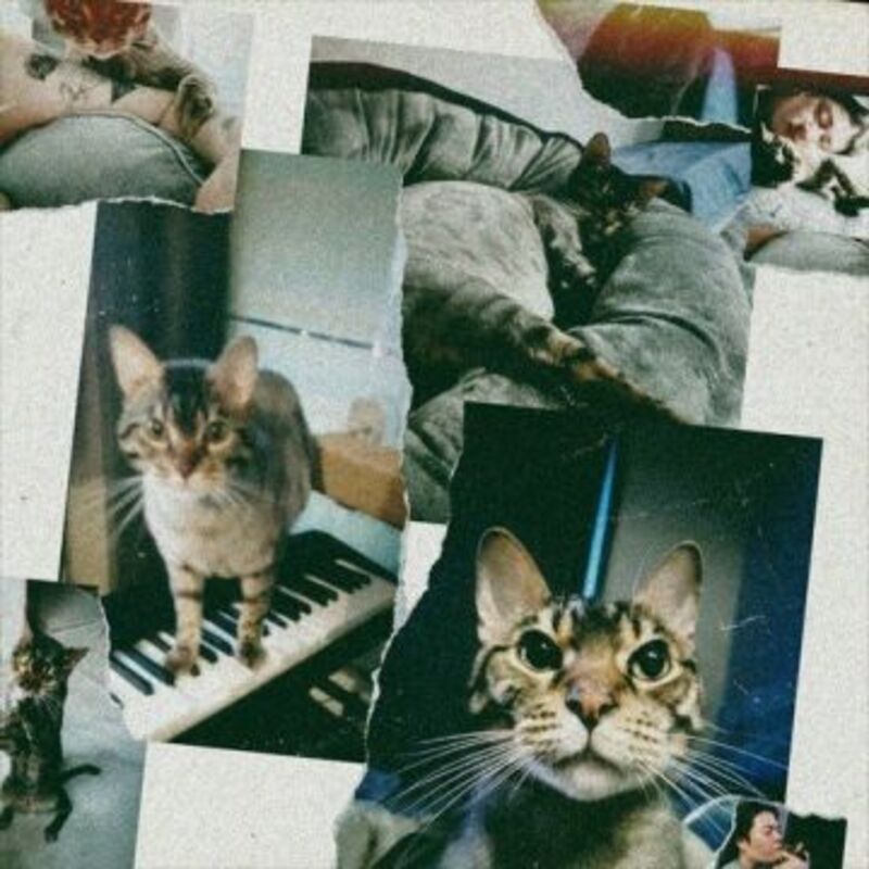 별이 된 너에게 album cover