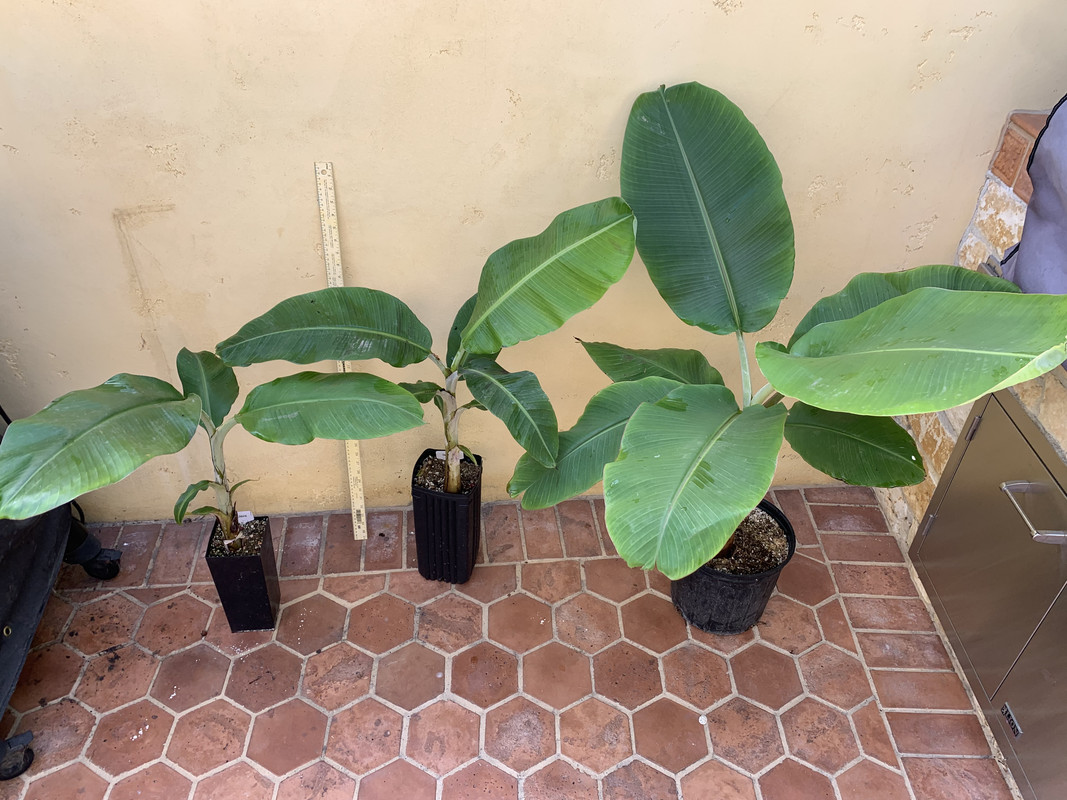 435271E6-2A9A-4851-9F89-C65FFD1F5D92