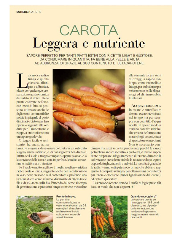 Il Mio Giar Giu-Lug 2025 (9)