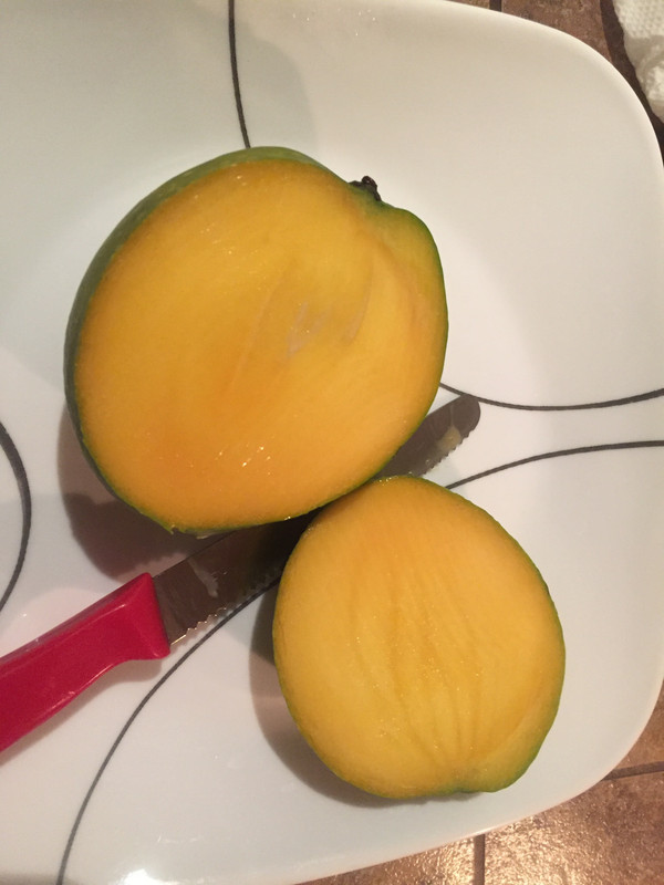 6F399296-F3DA-49EE-9ABF-244BF8A9367E