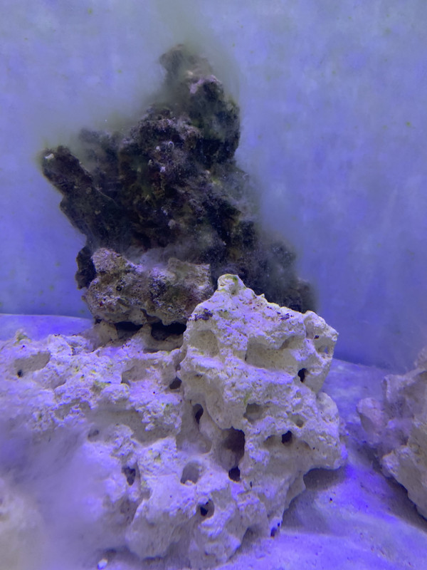 DC6B217A-EFF7-4672-BE25-2E3878D0B3E3