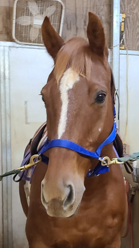 530896EE-BF4B-48E1-A833-29CAB681E622