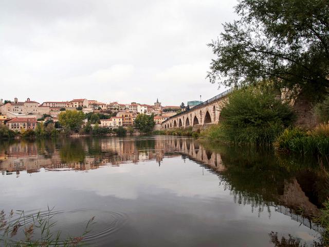 ZAMORA, TORO y "Las Edades del Hombre" - Blogs of Spain - Sábado en Zamora (33)