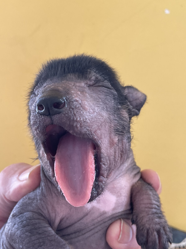 7864D70E-2A44-43E5-9EFA-6BEE8AE8F2E1