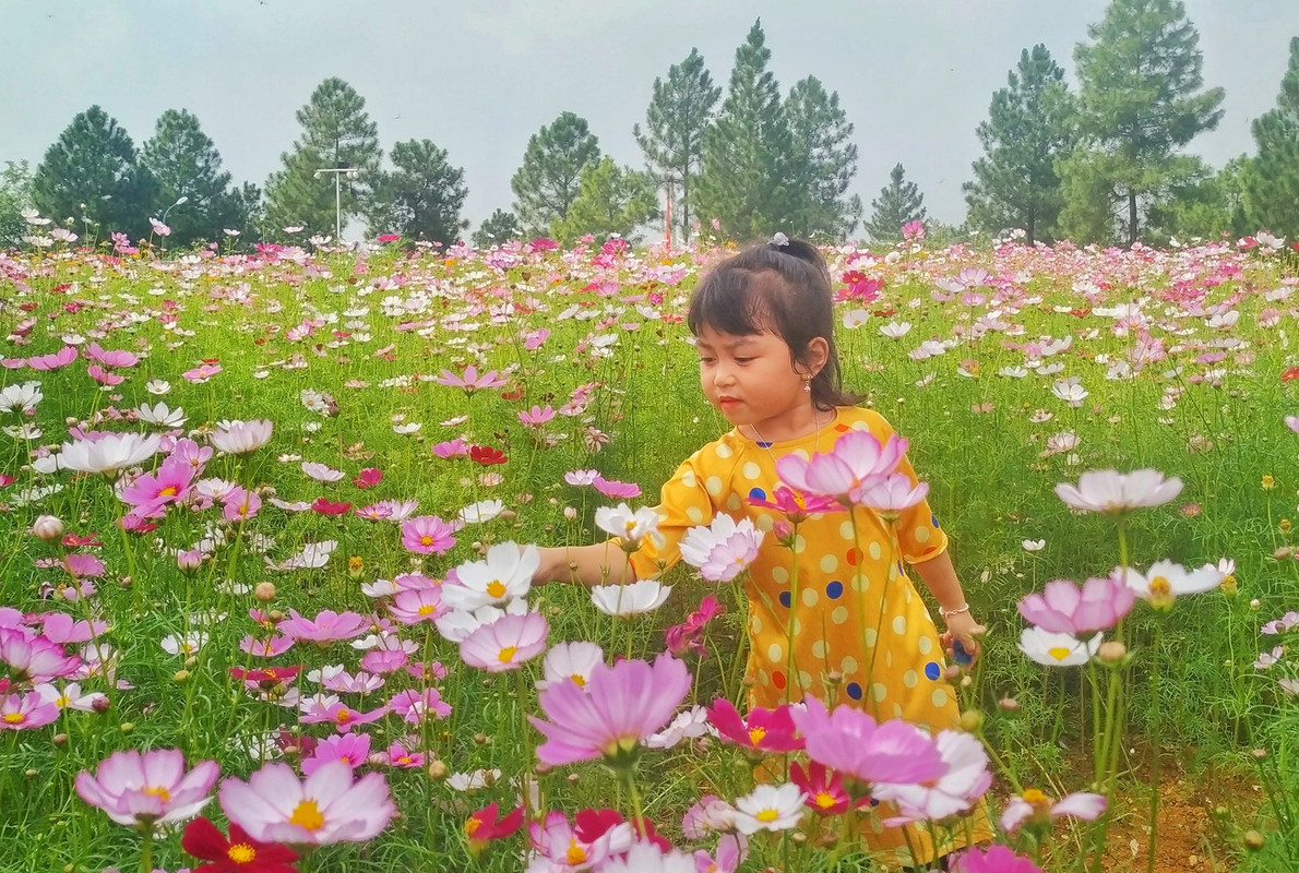 77403219_2450014848555271_3330377964134072320_o