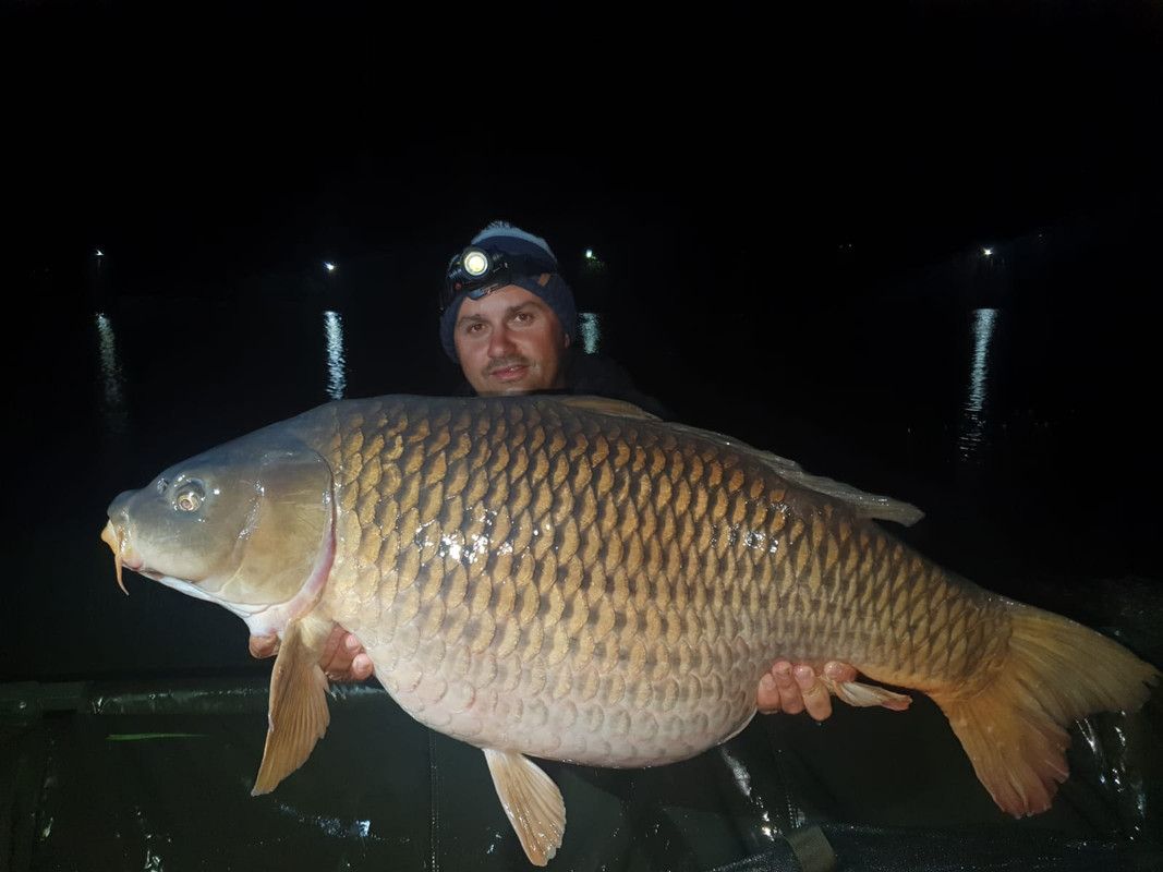 WhatsApp Image 2021-05-14 at 00.06.07 (1)