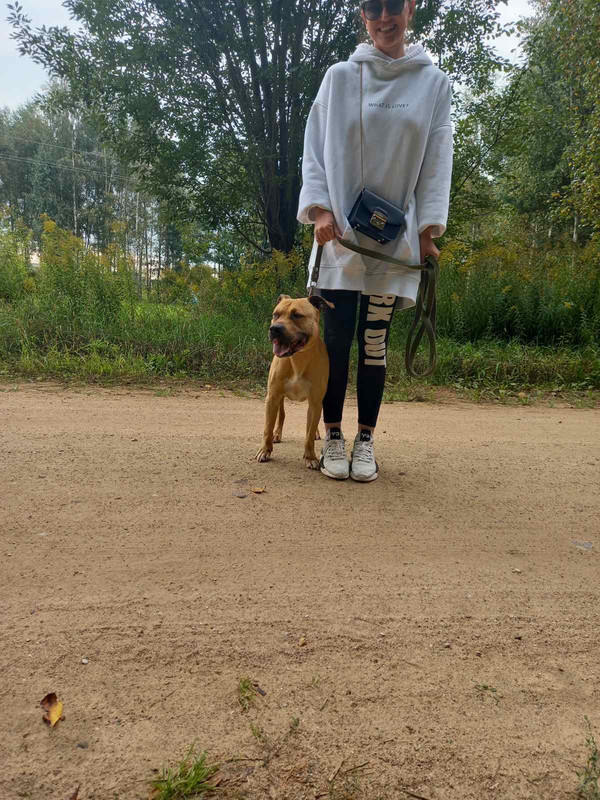 B112AD87-4A3F-490A-8A78-B78C48C83ADA