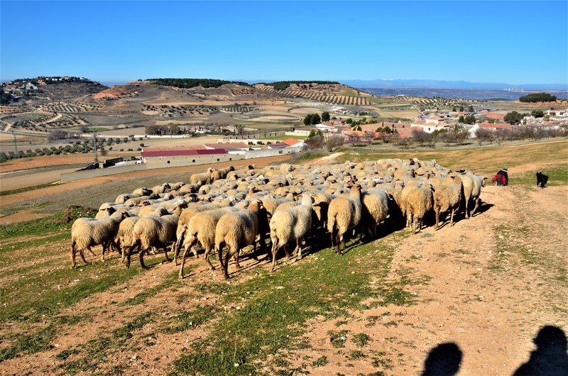 CHINCHON-4-1-2015 - Madrid y sus pueblos-2000/2022 (29)