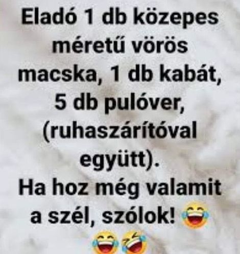 https://i.postimg.cc/SNvKK0w1/elado-egy.jpg